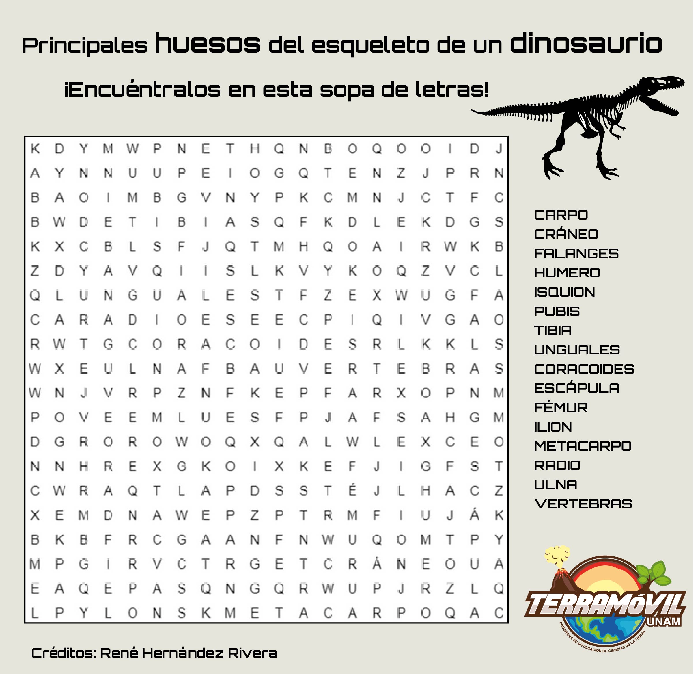 huesos dinosaurio