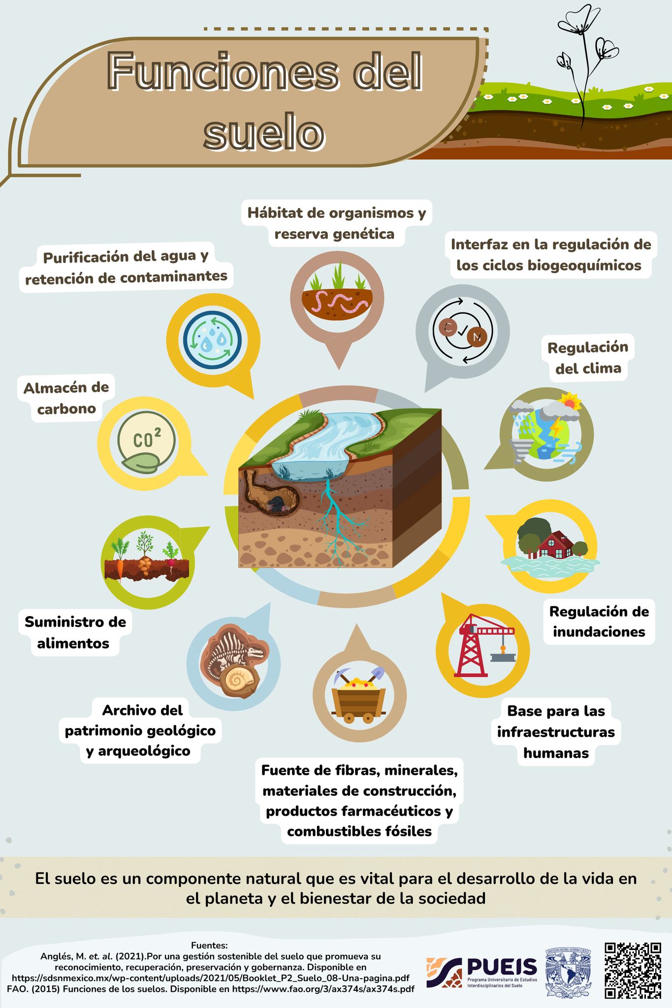 Funciones del suelo